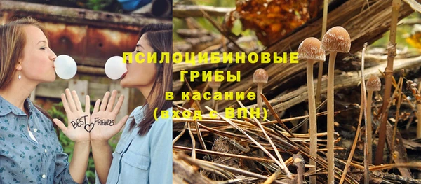 ГАЛЛЮЦИНОГЕННЫЕ ГРИБЫ Баксан