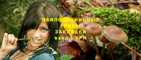ГАЛЛЮЦИНОГЕННЫЕ ГРИБЫ Баксан