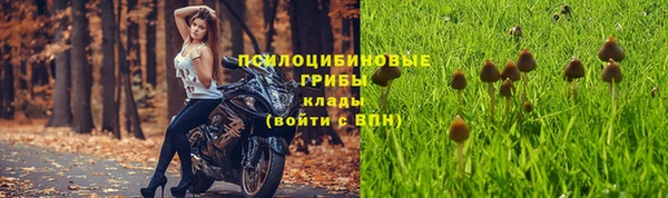 ГАЛЛЮЦИНОГЕННЫЕ ГРИБЫ Баксан
