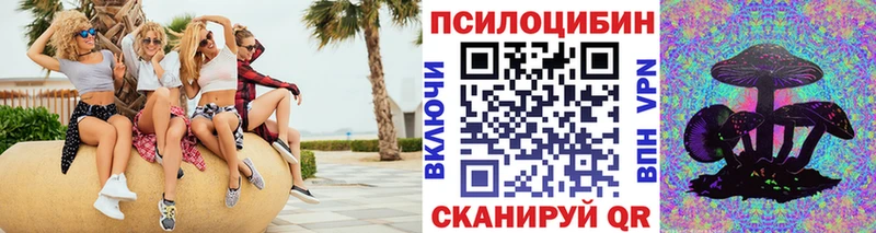 купить  сайты  Таруса  KRAKEN ССЫЛКА  Псилоцибиновые грибы GOLDEN TEACHER 